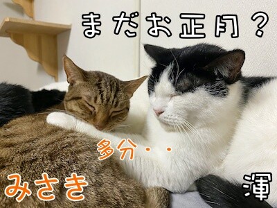 みんな602