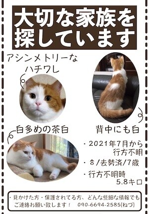 茶牛279