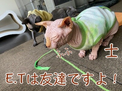 士73