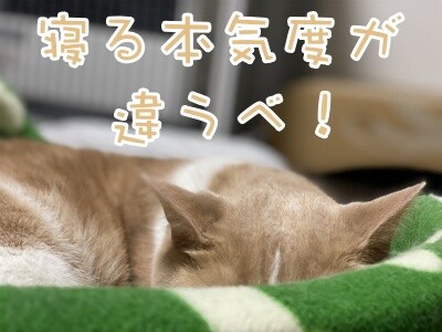楓635
