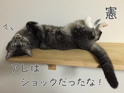 憲2