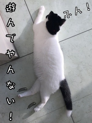 珠若187