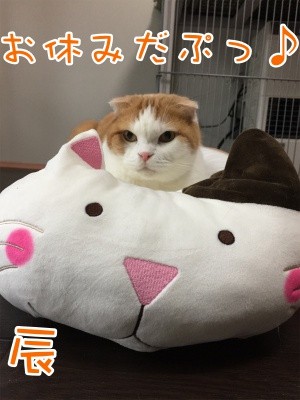 辰220