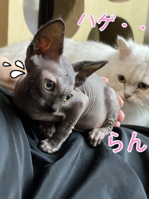 ビオ5