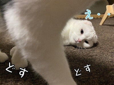 殿772