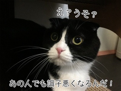 澪46