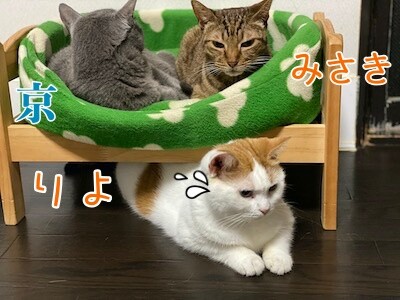 みんな455