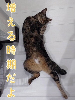 魚卵432