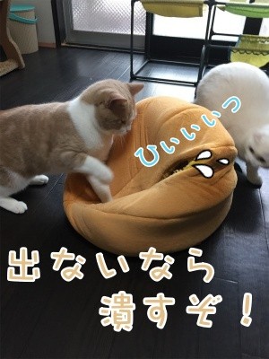 みんな714