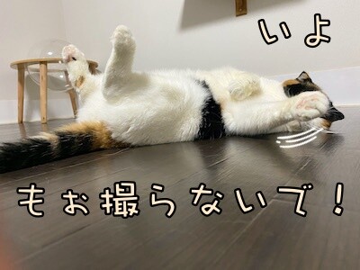 いよ45