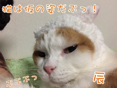辰125
