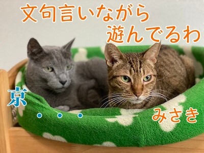 みんな452