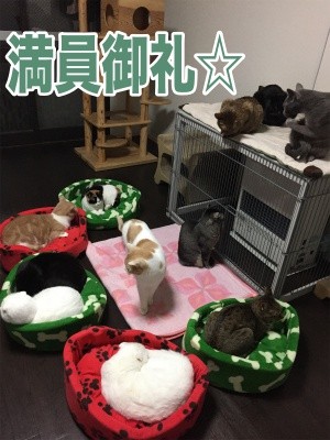 みんな1065