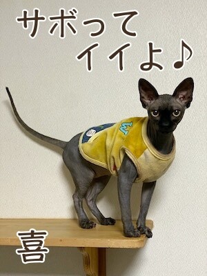 喜70