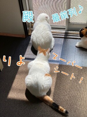 みんな2550