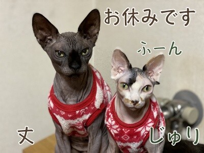 みんな1810