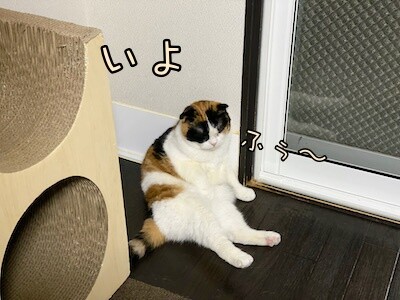 いよ13
