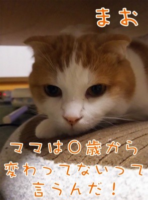 まお84