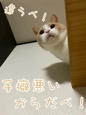 楓1236