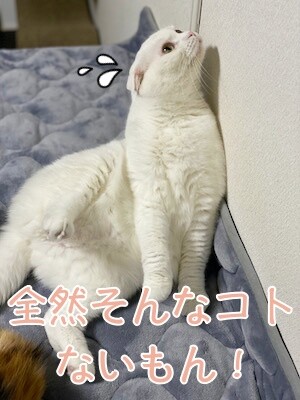 ひめ25