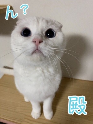 殿572