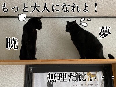みんな2444