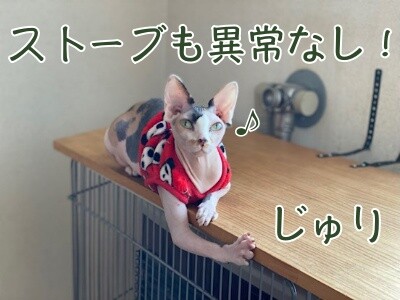 じゅり154