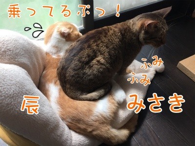 みんな918