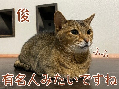 俊442
