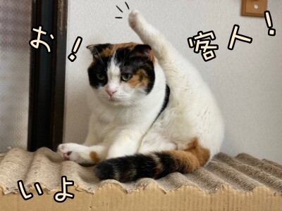 いよ450