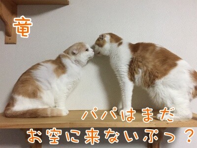 みんな1372
