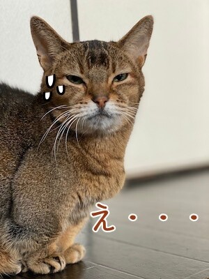 俊22
