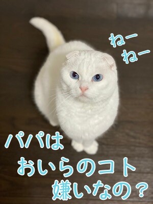 殿13