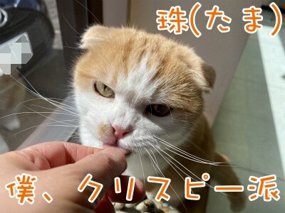 珠若586