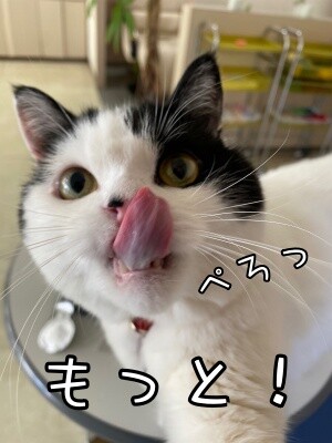 珠若852