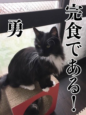 勇102