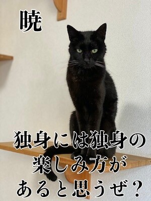 暁11