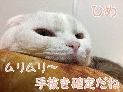 ひめ53