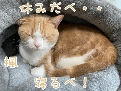 楓840