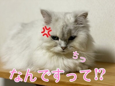 らん22