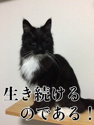 勇132