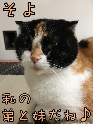 そよ127