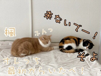 みんな2420
