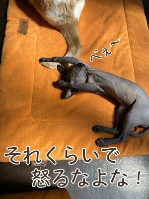 みんな420