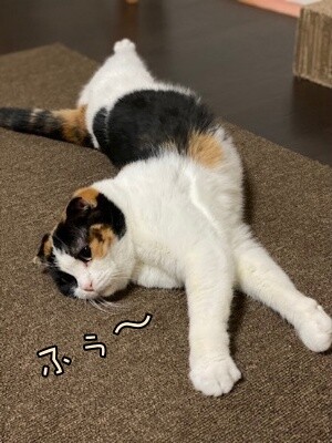 いよ479