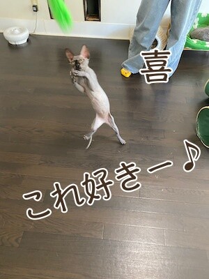 喜41