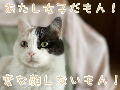 ひよ45