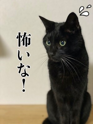 暁2