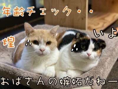 みんな2003