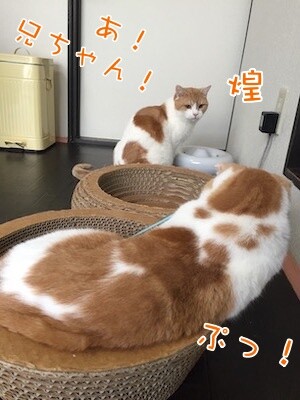 辰345